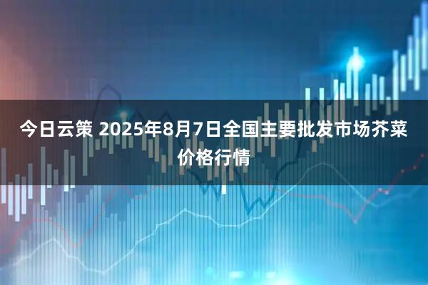 今日云策 2025年8月7日全国主要批发市场芥菜价格行情